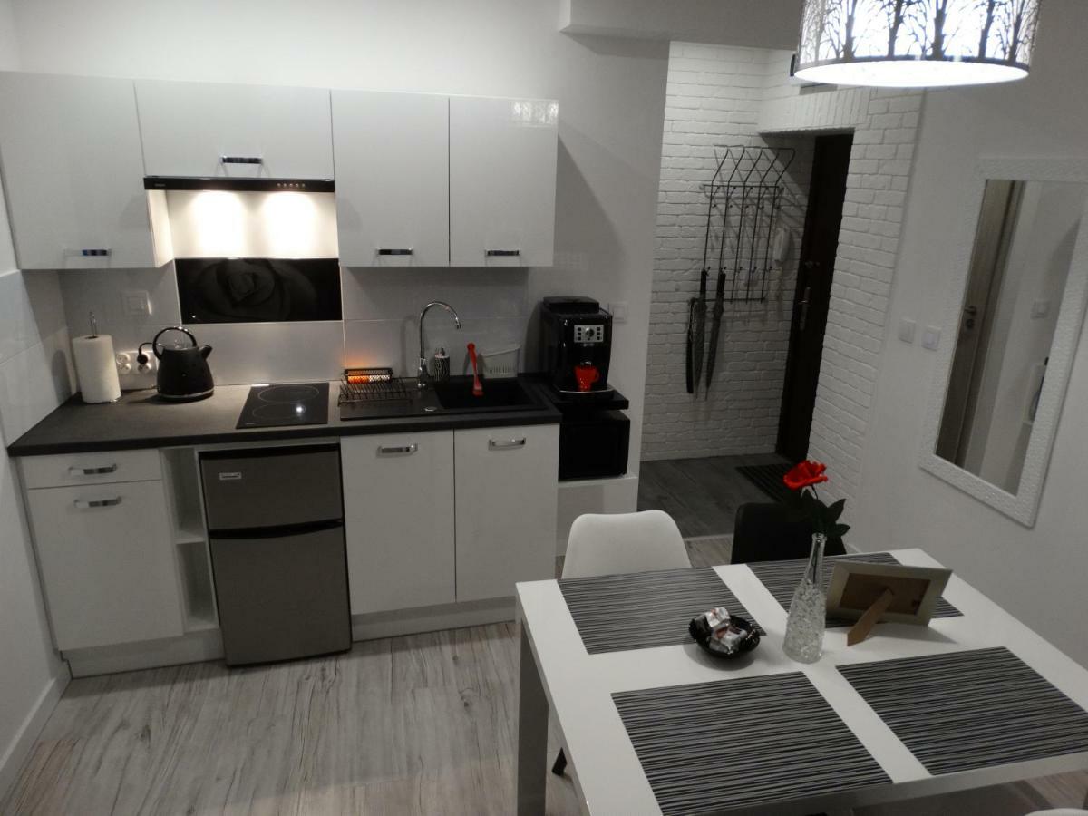 Apartament "Eli" Stary Toruń エクステリア 写真